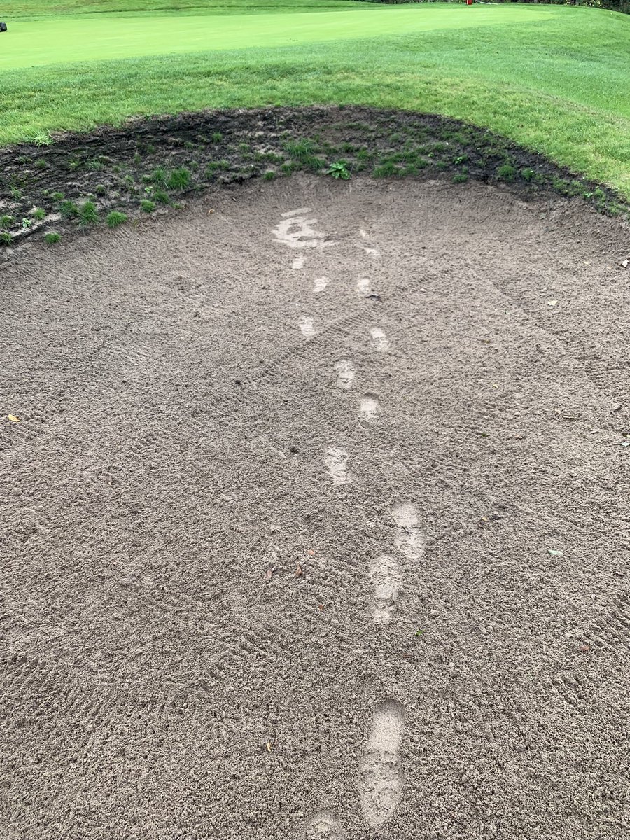 Chris Milnes tweet media