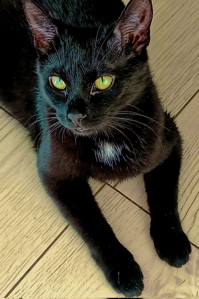 Jestem piękna,po prostu 😍