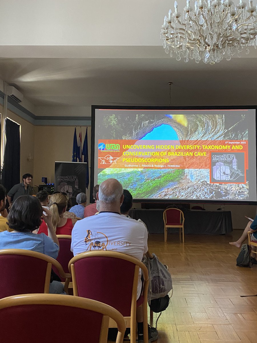 Today we’re going in deep 🕸️

Symposium on the science beneath the surface: cave arachnid ecology, diversity and evolution.