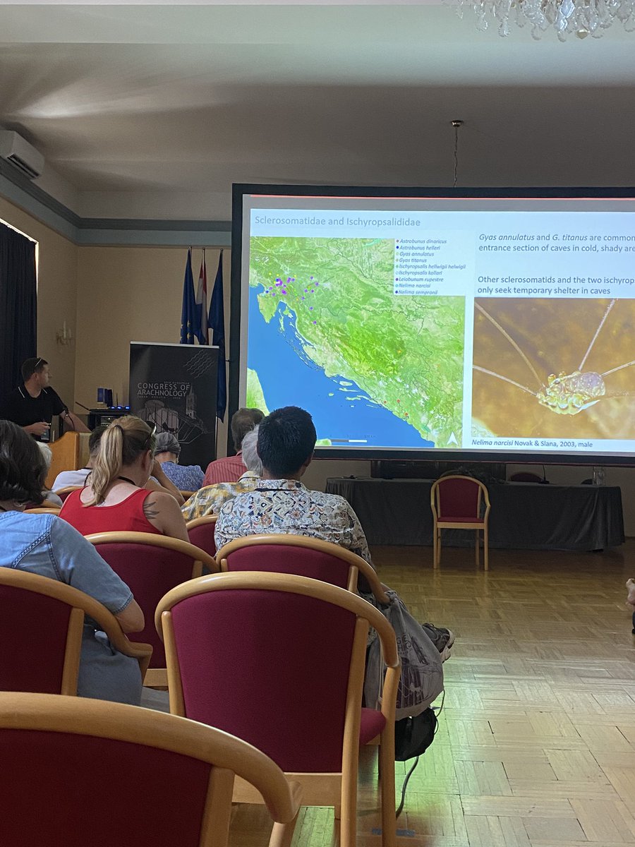 35thECA2025's tweet photo. Today we’re going in deep 🕸️

Symposium on the science beneath the surface: cave arachnid ecology, diversity and evolution. https://t.co/aAER0GZ0Up