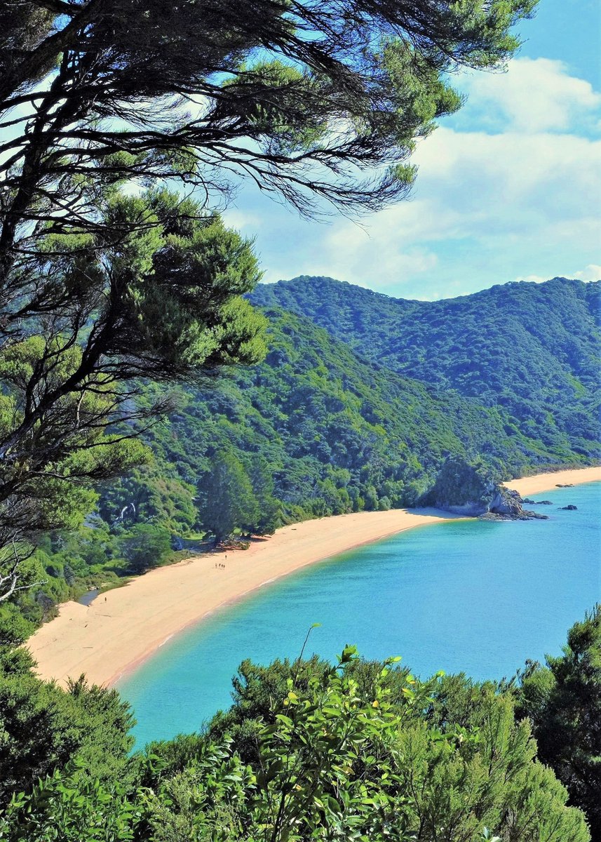 Anatakapau Bay-New Zealand.