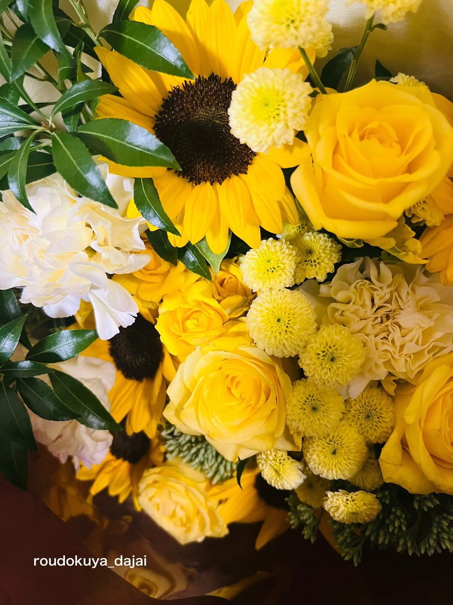 『ヤマトよ永遠に REBEL3199』
先日最終回のアフレコを終えました。
10月には第四章が公開になりますし、まだ航海の途中、終わったという実感は湧きません。
今回のシリーズも、雪と、沢山の感情と向き合いながら魂をゆさぶられながらの収録はとても貴重な時間でした。
最後まで見届けてくださいね✨