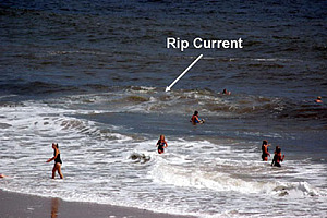 According to NOAA, “Rip currents are powerful, channeled currents of water flowing away from shore”. They can occur at any beach with breaking waves, including on the Great Lakes. 
📸Dr. Wendy Carey