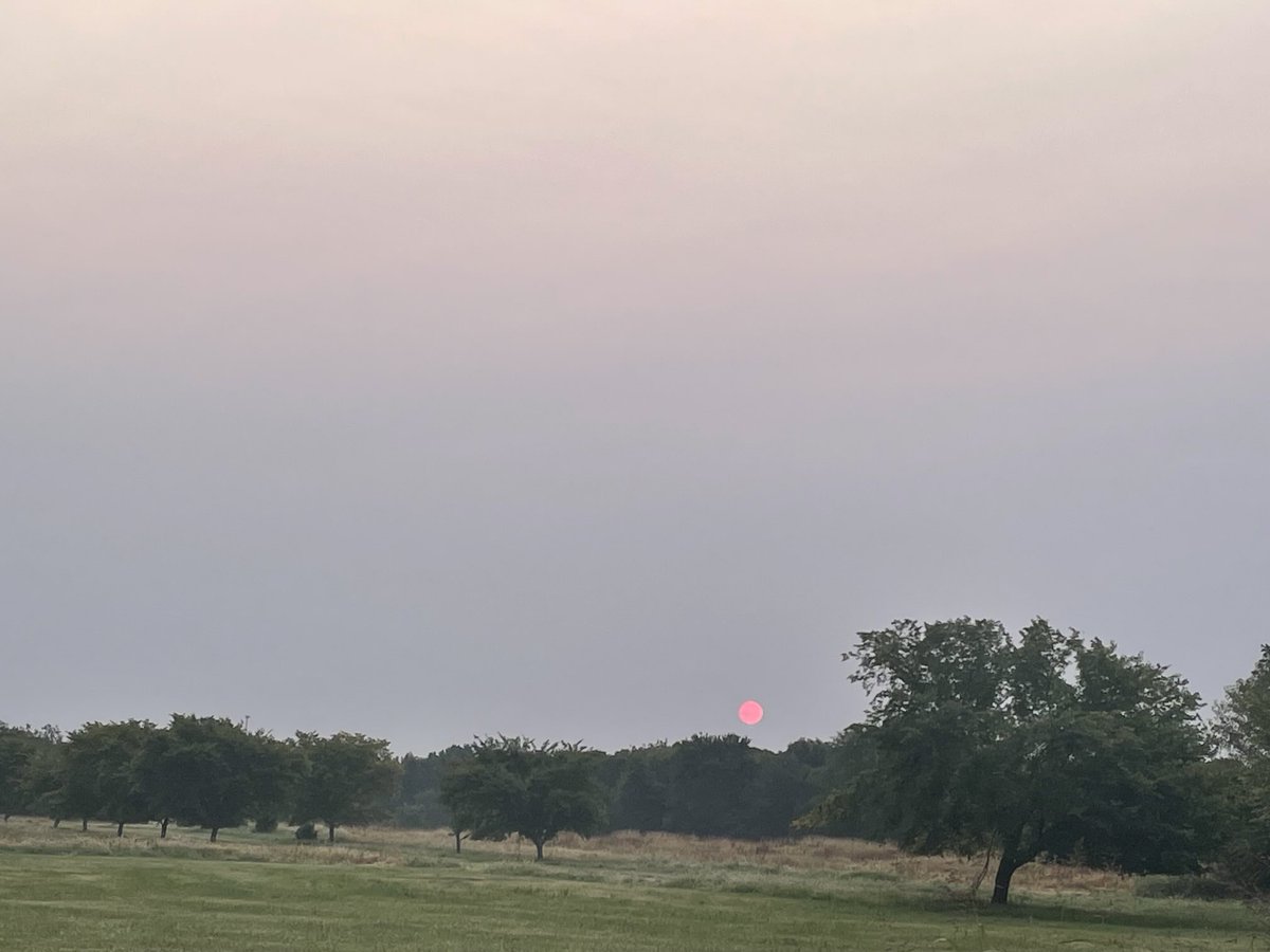 Seven year-old question waiting for the bus… Why does the sun look like the blood moon?
