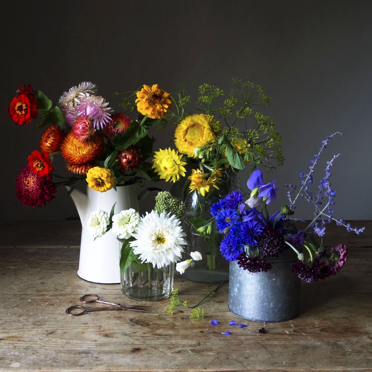 silverpebble's tweet image. Research shows that my greetings cards will help your brain recover from stress by just looking at them &amp;amp; are likely to trigger dopamine release, lifting mood. 
They’re also an affordable, frameable way to support me. A breakdown has stopped me being able to work much this year…