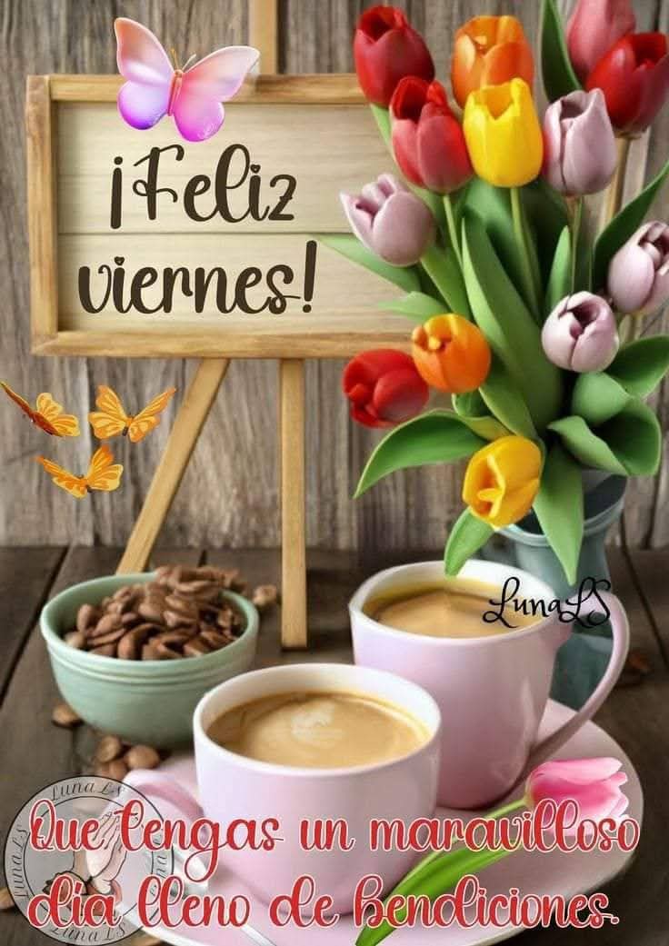 Buenos días mundo...