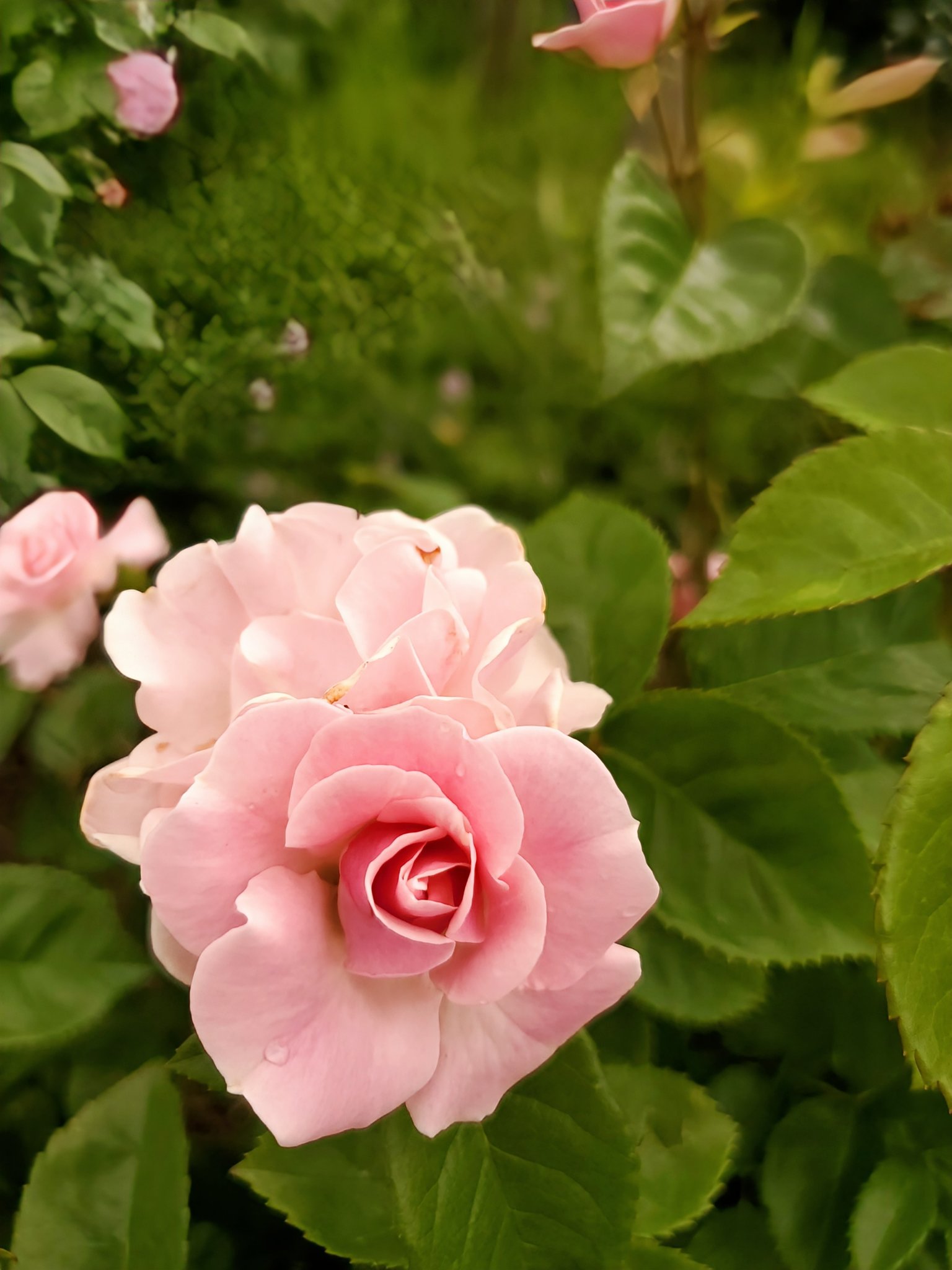 mayuページ mayu (@o3_imy) • Instagram photos and videos