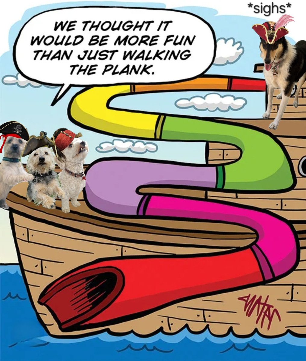jennystape's tweet image. Well we fort it'd be more fun than walking the plank Miss Moxie Long Snout Barnacle Legs wench 😃🤭
@Norman_Dillon1 @CollieMoxie #ZSPirateMonth #MuchMoreFun 
#BovverBoysForever #BovverBoys