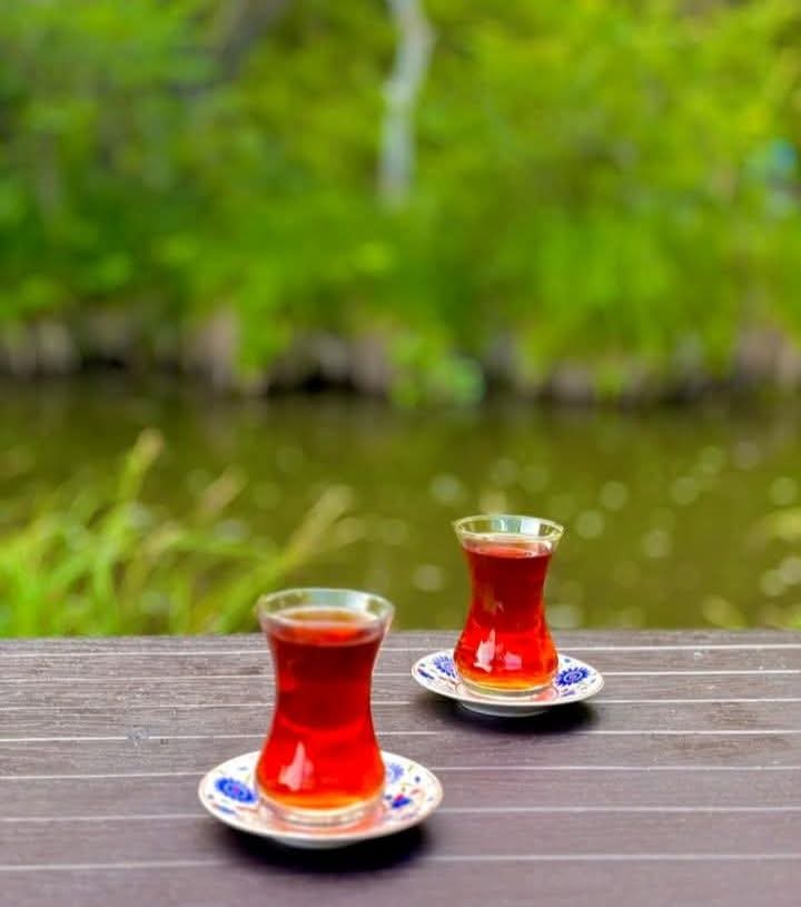 İnsan qeçicidir.. 
Yüreğe dokunan herşey kalıcı...