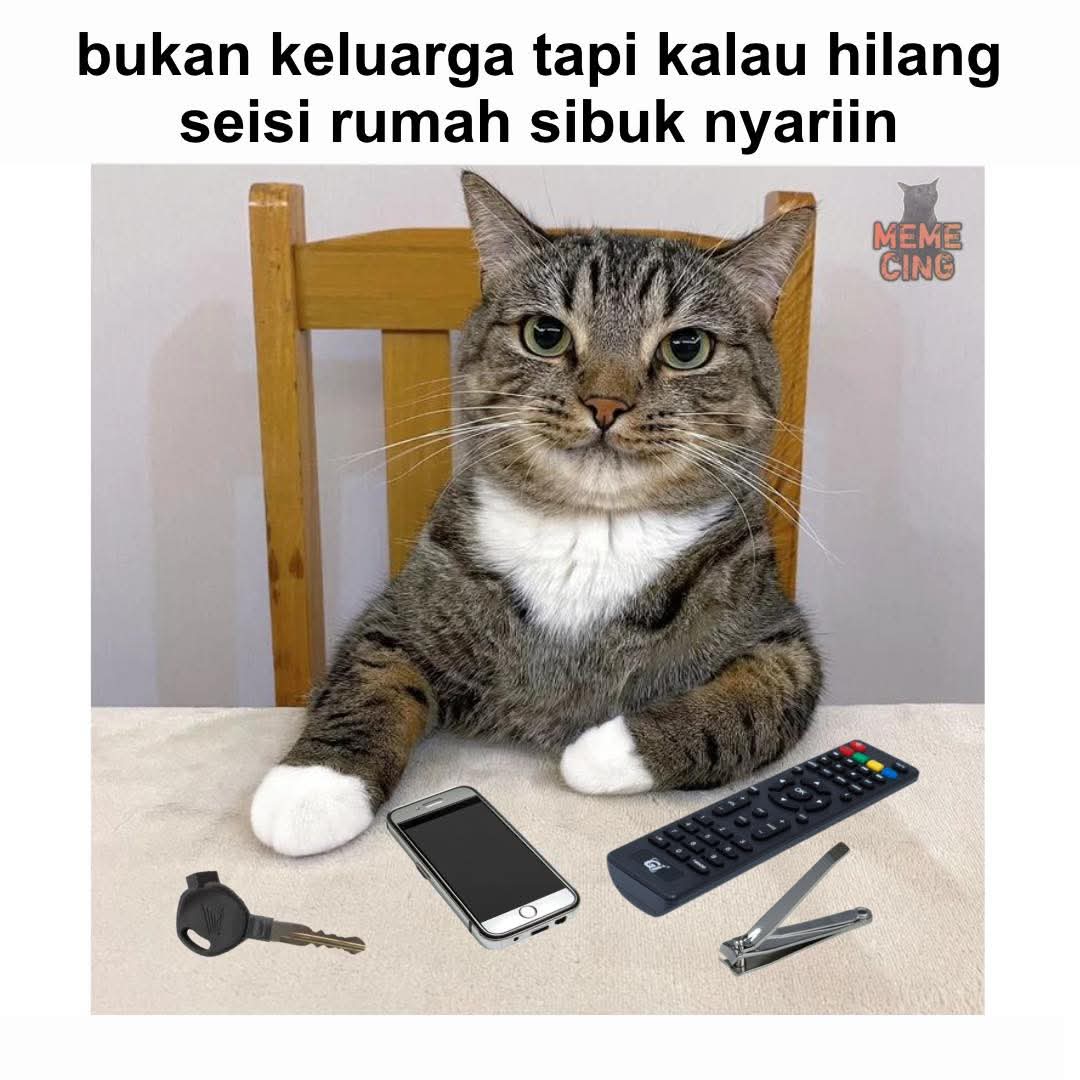 NenengAnj4r's tweet photo. terutama makhluk berbulu itu
#meme #memekucing #kucing #kucinglucu https://t.co/4Nk5CMs7Df