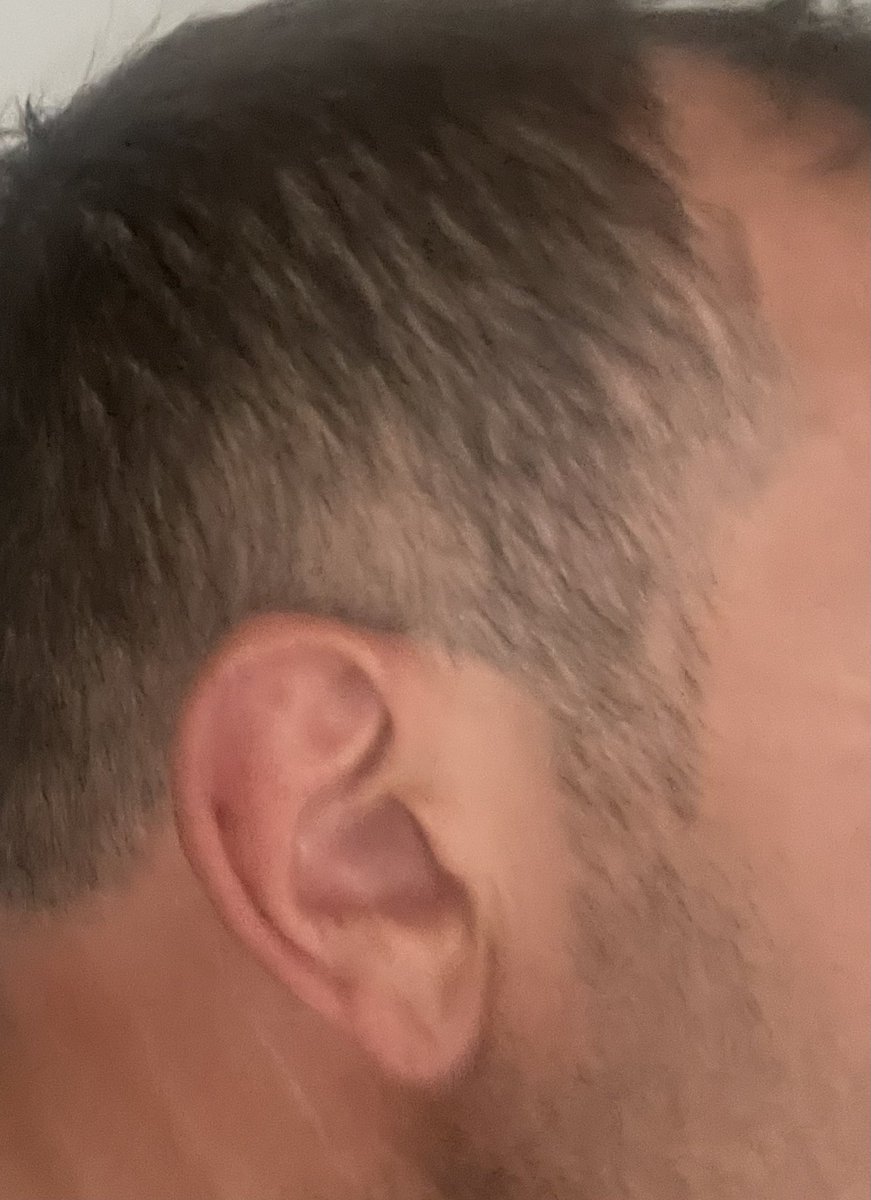 Danijel M. tweet media