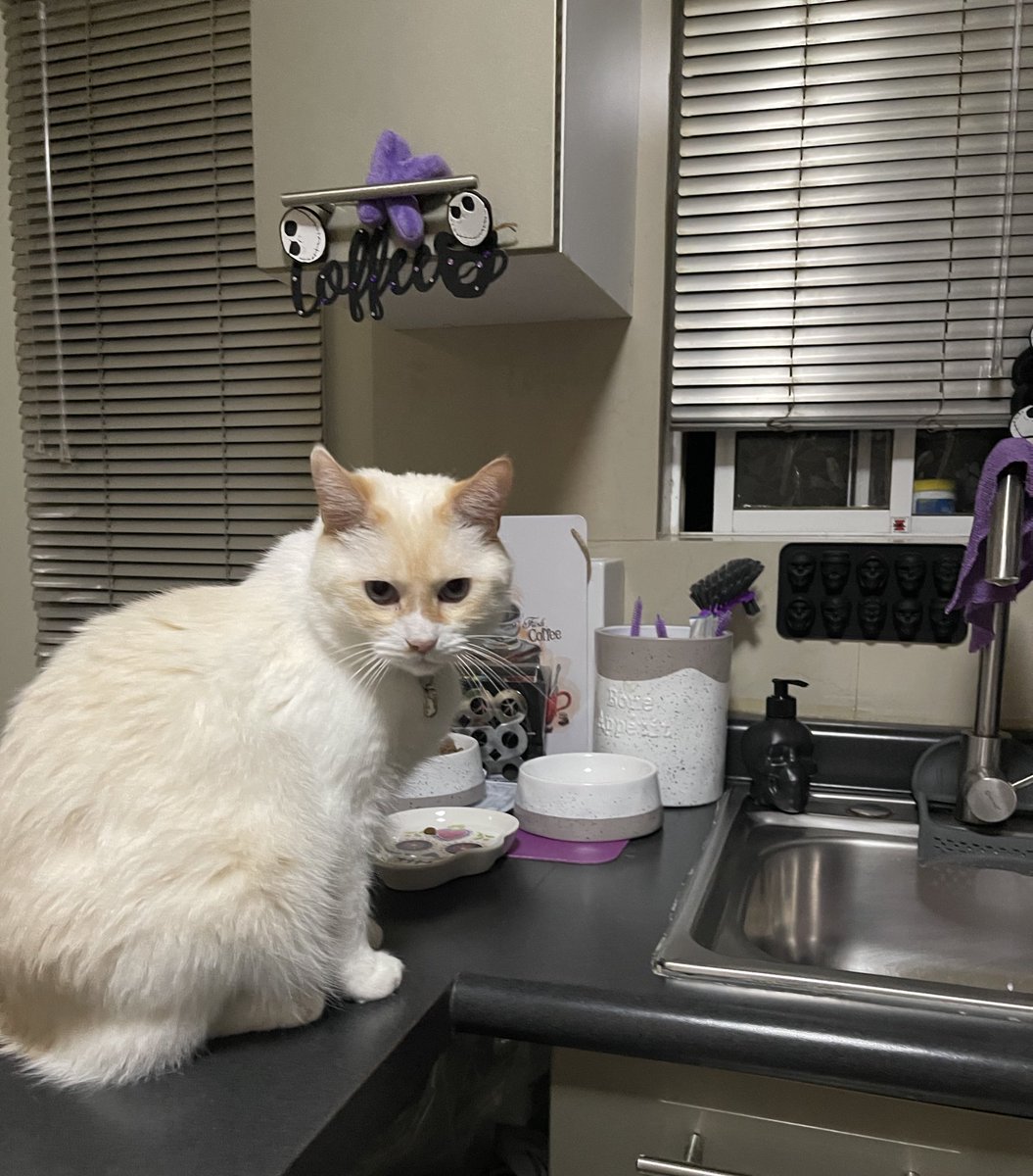 Es bierneeeee de cafezito con chot!