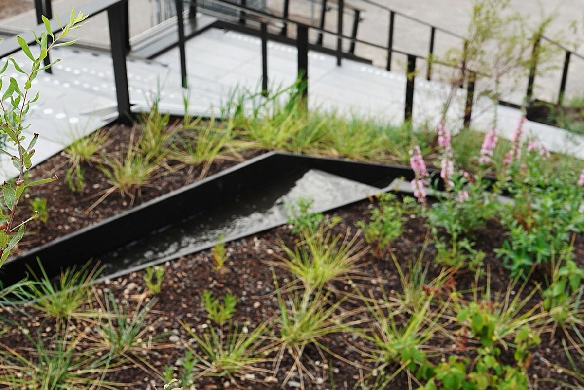 Eerste wandelaars over de nieuwe Zwolse Passerelle met watervalletje rtvfocuszwolle.nl/eerste-wandela…

#zwolle #nieuws #passerelle