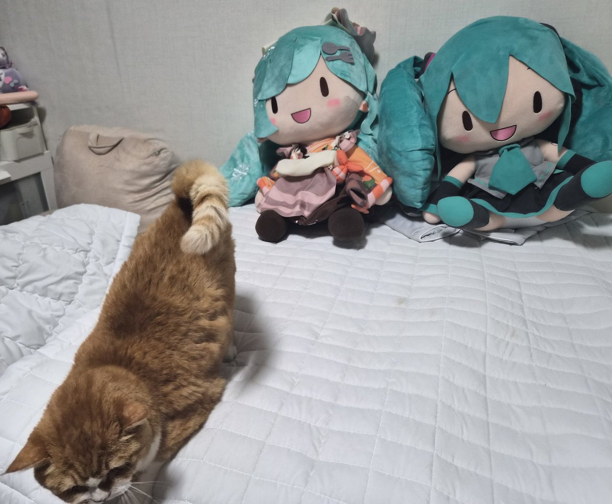 당연하지만
대형 유키미쿠도 궁디팡팡을 해줄 수 없습니다