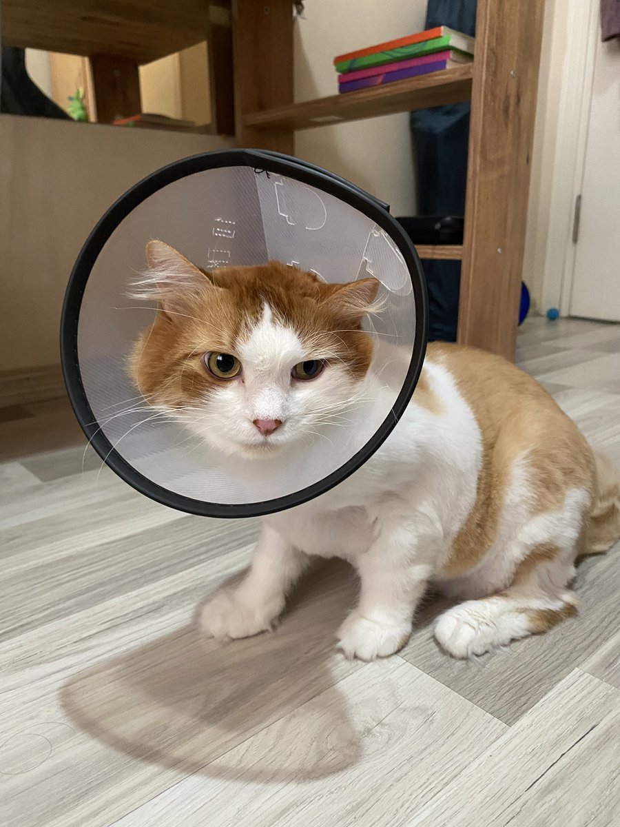 Mederiner deli olduumu faln herbisiii öğremdi…