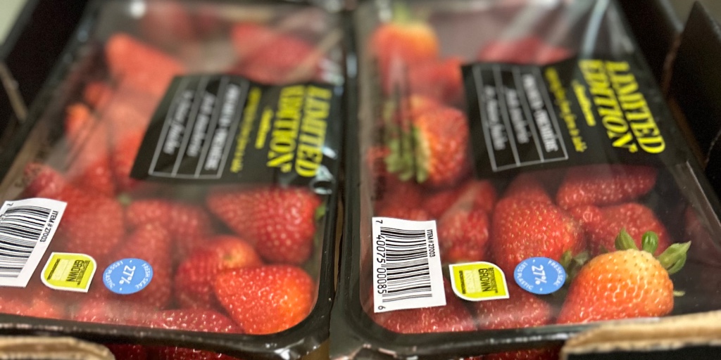 🍓 Huge thanks to Costco St. James for donating over 80 cases of strawberries! 🍓

💛 Your generosity helps us share  fruit with our community guests—a wonderful gift of care and nourishment.💛

lighthousemission.ca

#LighthouseMission #EveryoneMatters #LoveAllServeAll