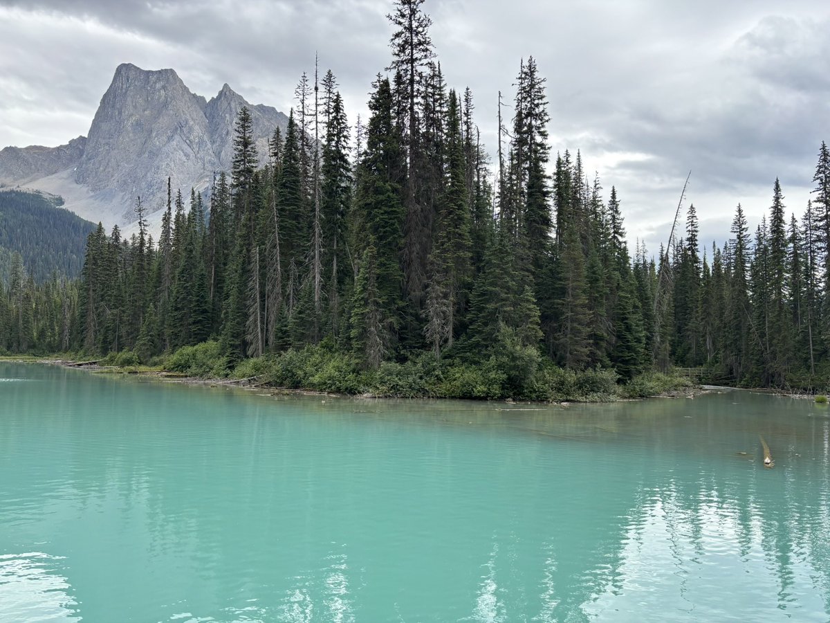 bobthomas tweet media