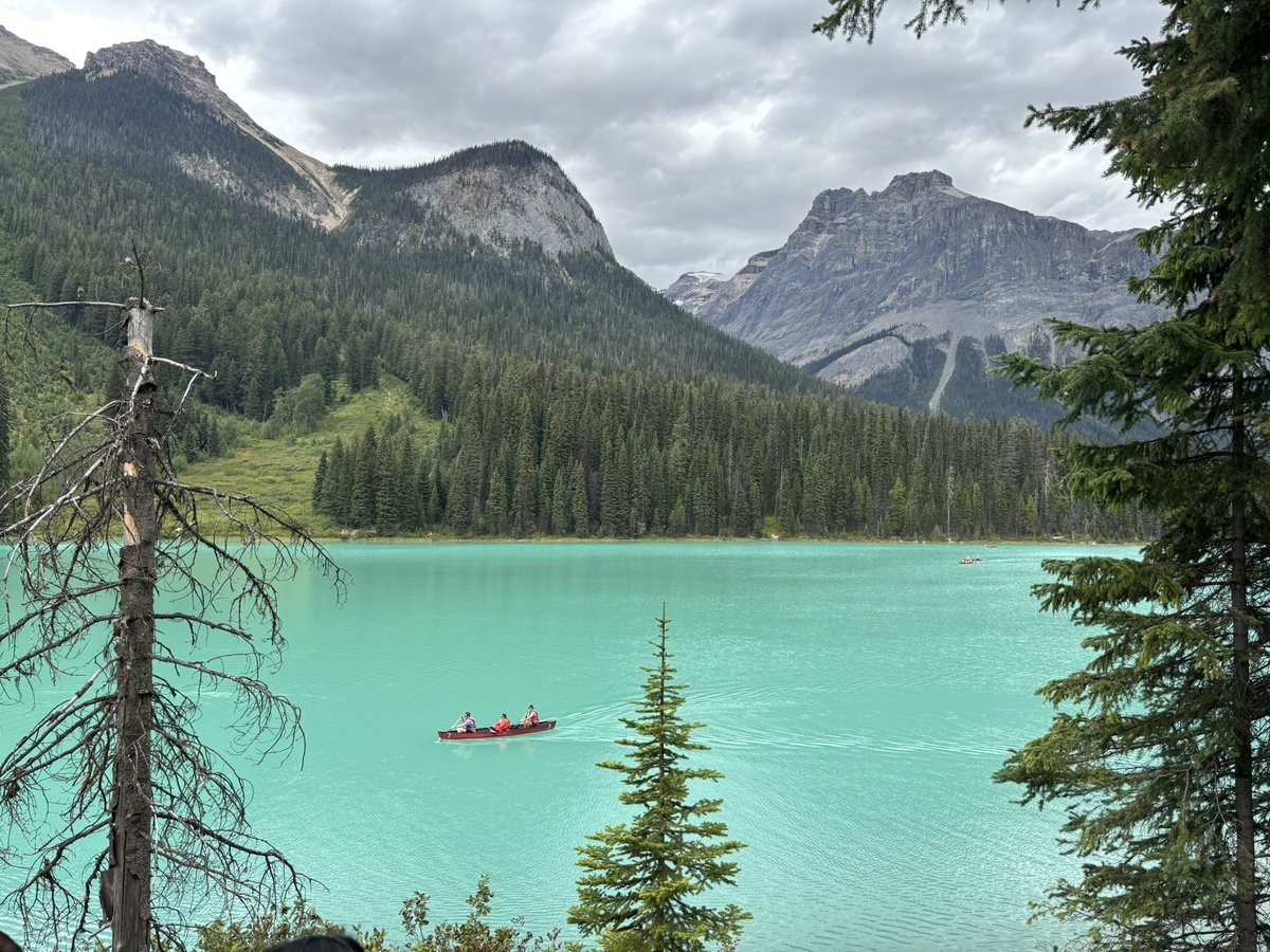 bobthomas tweet media