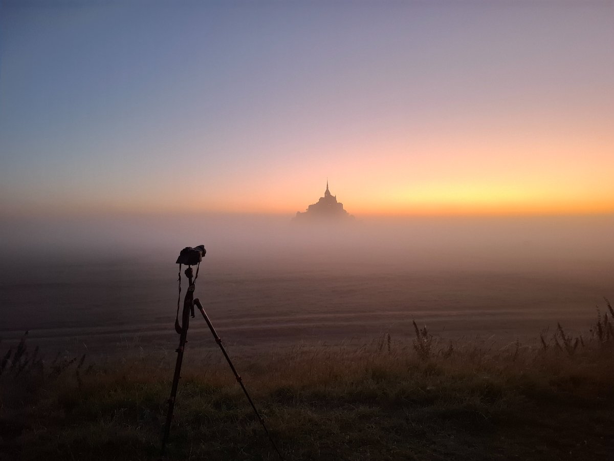 まっち💫 tweet media