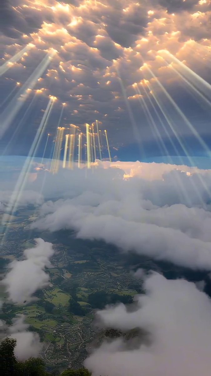 Quantum Swap tweet media