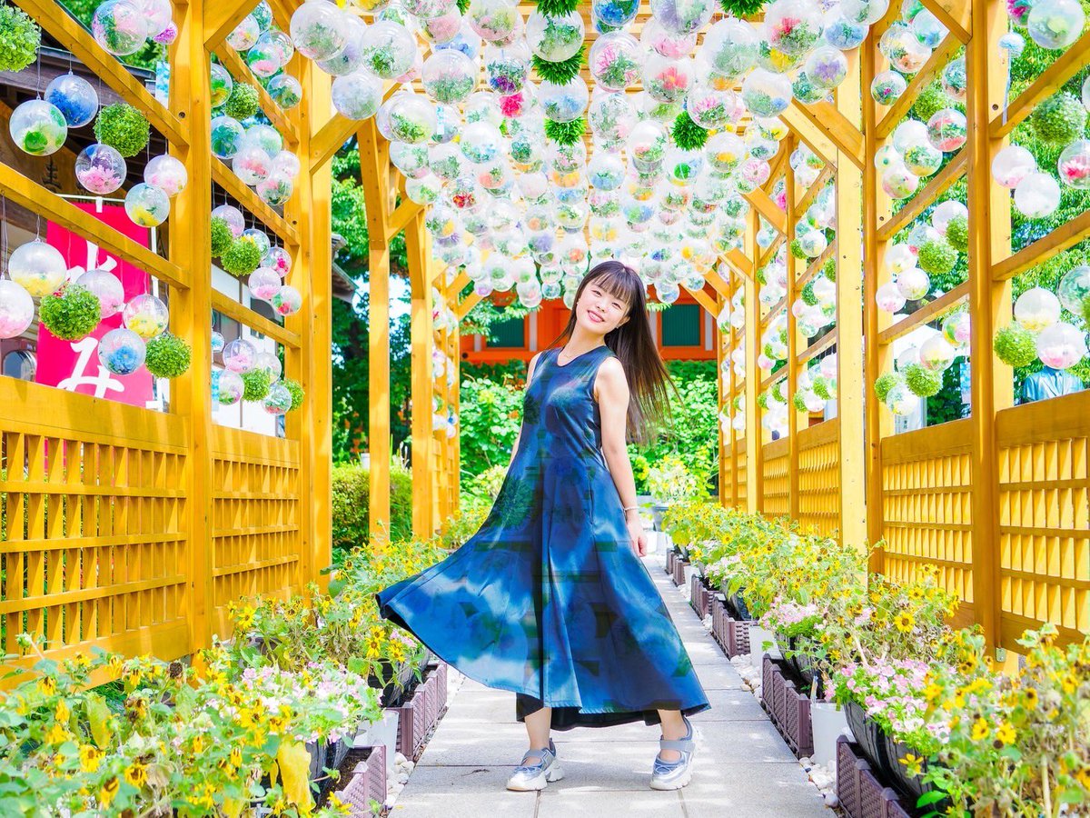 まだ間に合うかな……？夏気分を🤲🎐꙳⋆

photo by ODN