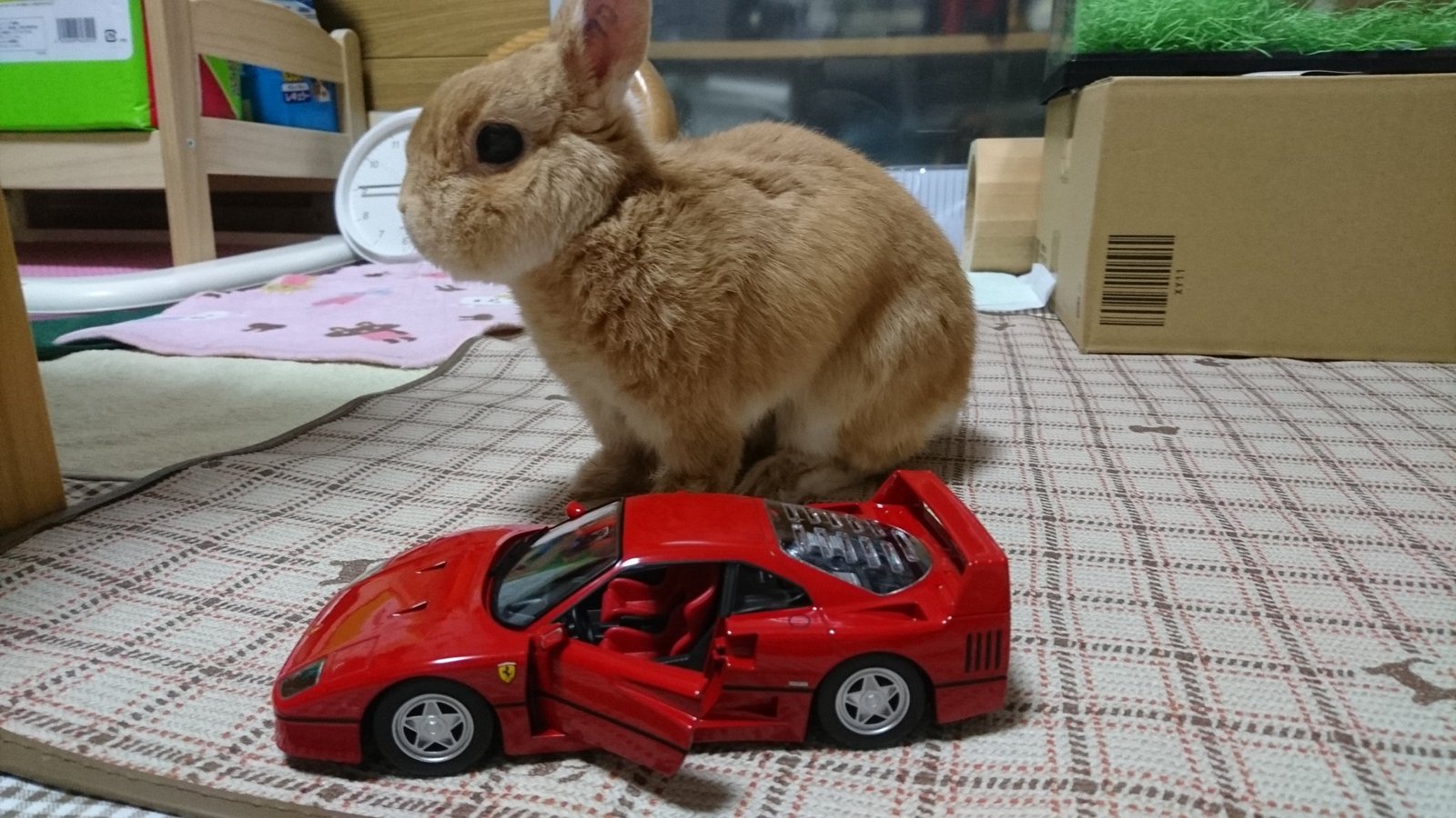 もこちゃん　 ちっちゃなもこちゃん ラインセーラーver.