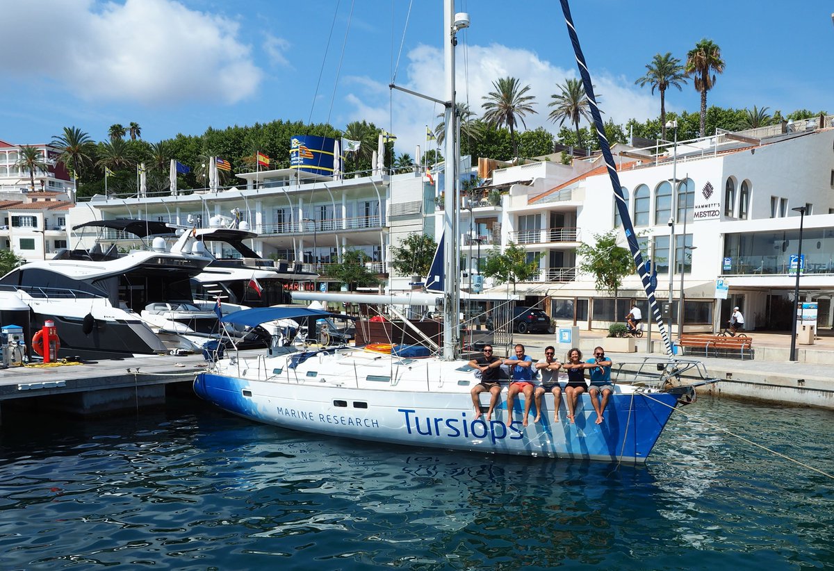 Tursiops visits Marina Port Mahón after a scientific expedition studying sperm whales.
Tursiops recently wrapped up a 10-day, 1 000-mile mission aboard the “Irifi.” They sighted 55 sperm whales—51 in northern Menorca, including a group of 13 females, calves, and subadults.