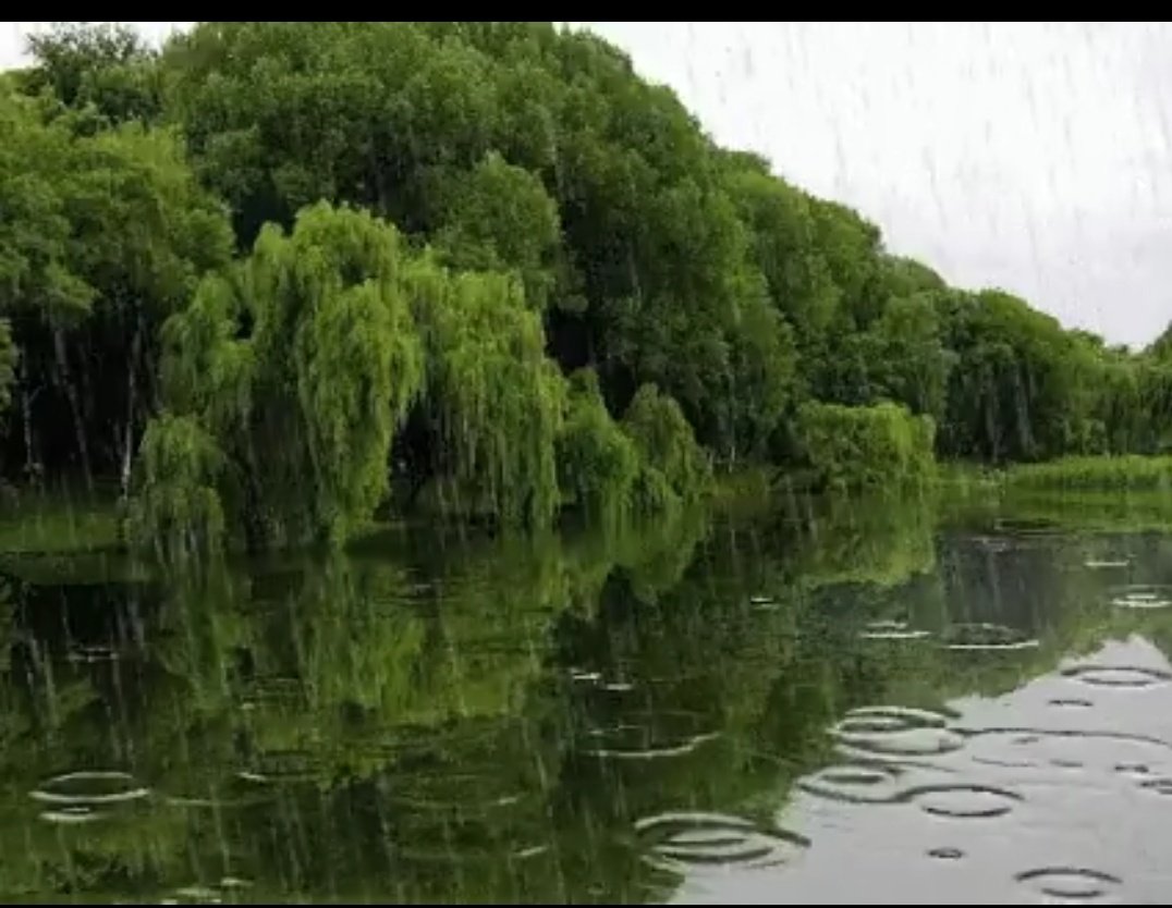 Kavya_Ras's tweet photo. समंदर ने अपने खारेपन 
और गहराई से 
बचाए रखा अपना अस्तित्व,
निश्छलता और चंचलता से
छली जाती रही नदियाँ ।
प्रेम फिर भी तटस्थ रहा
हर बार की तरह
सरल होकर भी जटिल ।

~रितु सिंह
@Ritussingh_ https://t.co/1dxRB84Y3F