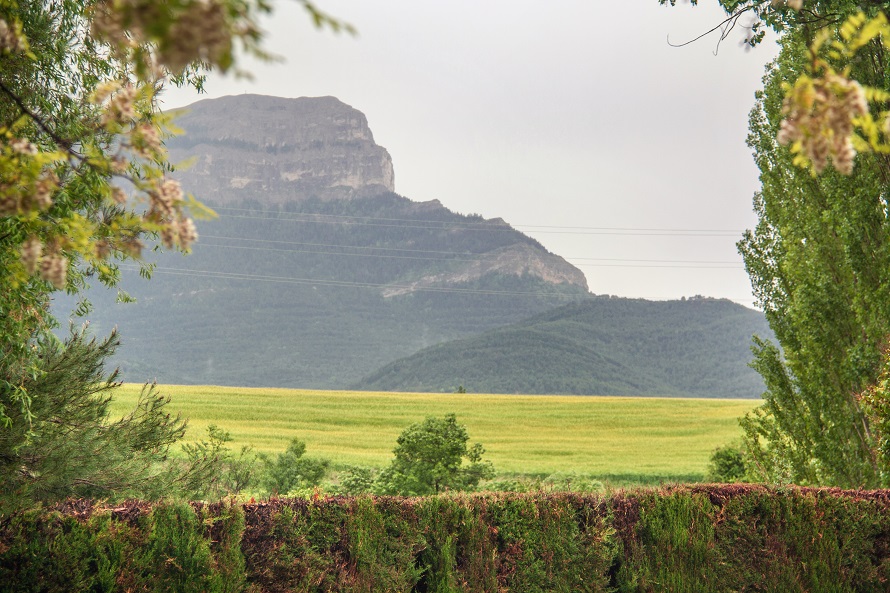Oroel Park: “Una agresión injustificada a un símbolo natural e identitario” de la Chacetania y todo Aragón: arainfo.org/?p=312413

👉 Telecabinas sin pasajeros, toboganes gigantes sin niñas, unión de estaciones de esquí sin nieve, desde las administraciones gobernadas por PP y