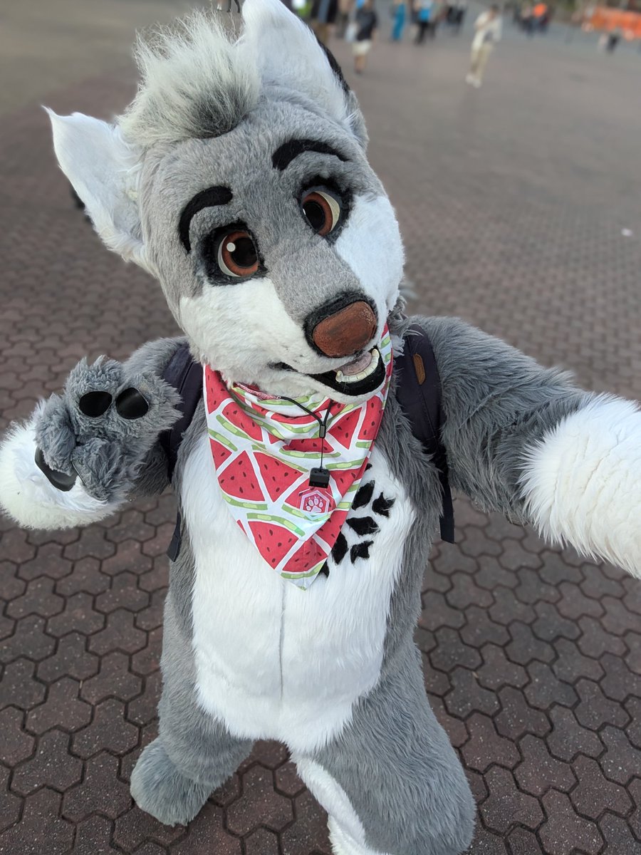 aRTi Husky 🐺 tweet media