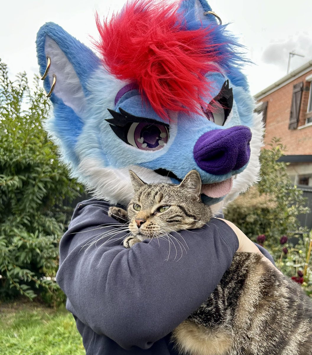 Gottin Derwolf tweet media