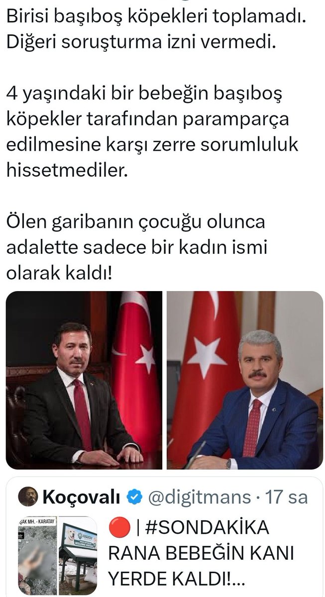 Ne güzel ülke! Milyonlarca liralık köpek yemi alıyorsun şehrin her yerine işbirlikçi derneklerle bu yemleri saçıyorsun şehirleri açık hava köpek ahırına çeviriyorsun üzerine can dost martavalları sıkıyorsun sonra semirttiğin köpekler gidip garibanın çocuğunu boğazlayıp öldürüyor!