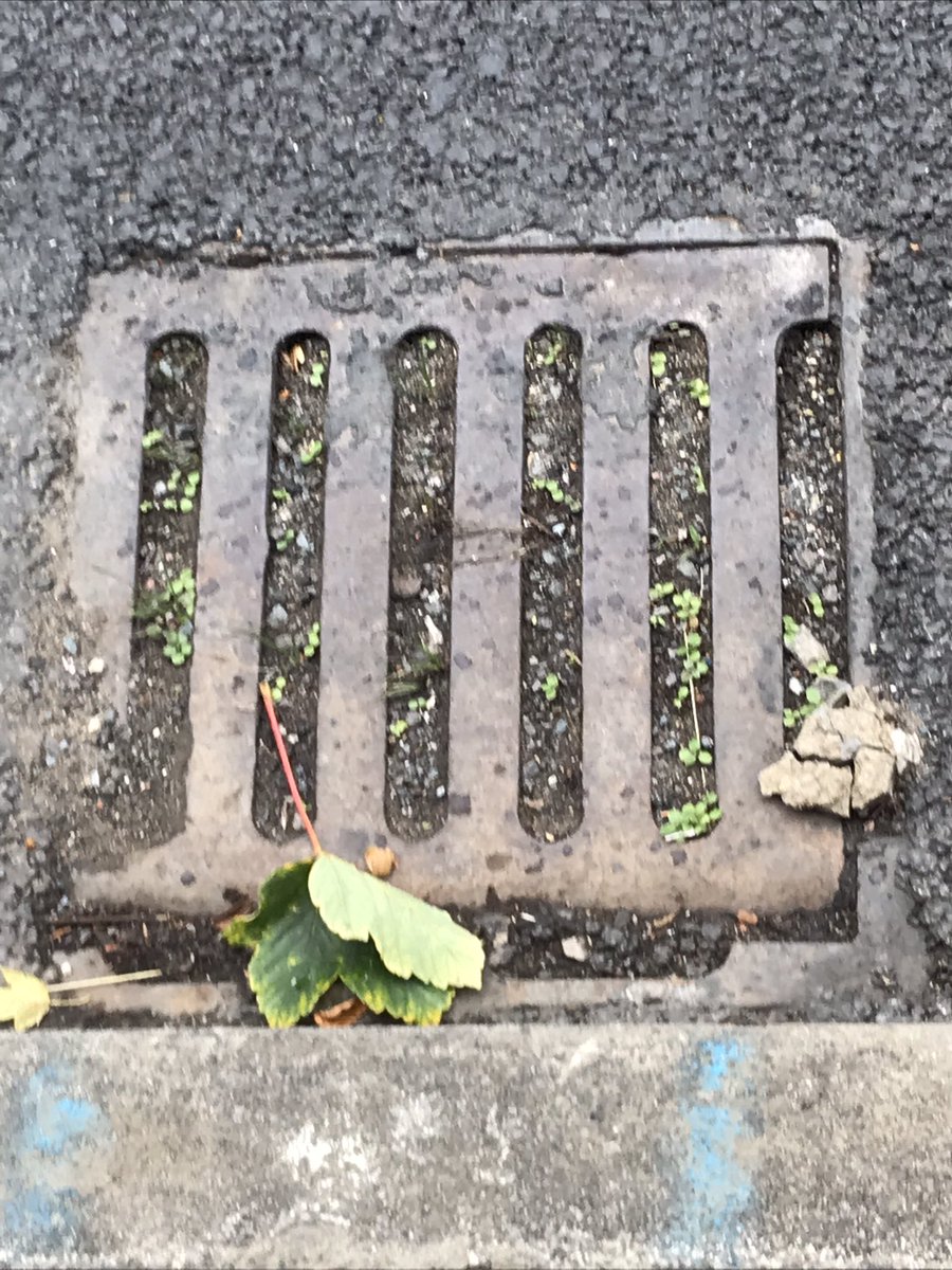 Simon Edwards tweet media