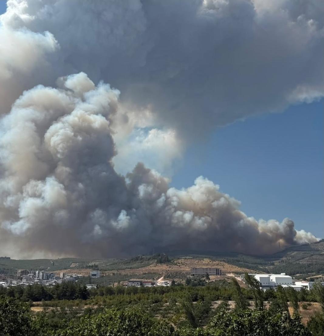 Bursa Gündoğdu ile Ovaakça arasında yangın başladı. Havadan ve karadan destek mevcut. Toplamda ikisi jandarmanin olmak üzere 4 hava aracı bulunuyor. Yangın yerleşim yerlerine ve yola yakın bir alanda. Köylüler de su tankerleri ile destek sağlıyorlar 
#BURSAYANIYOR