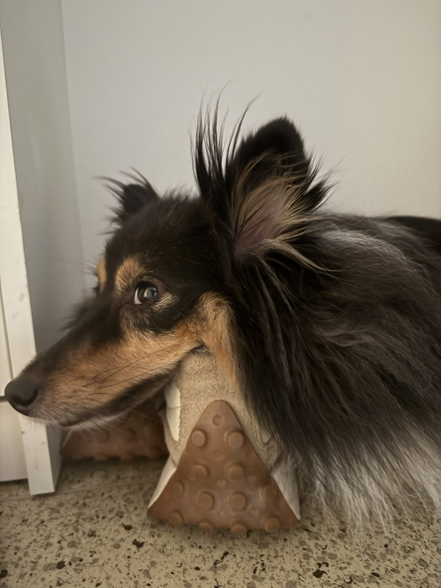 Мимо проходила
Так очень удобно лежать