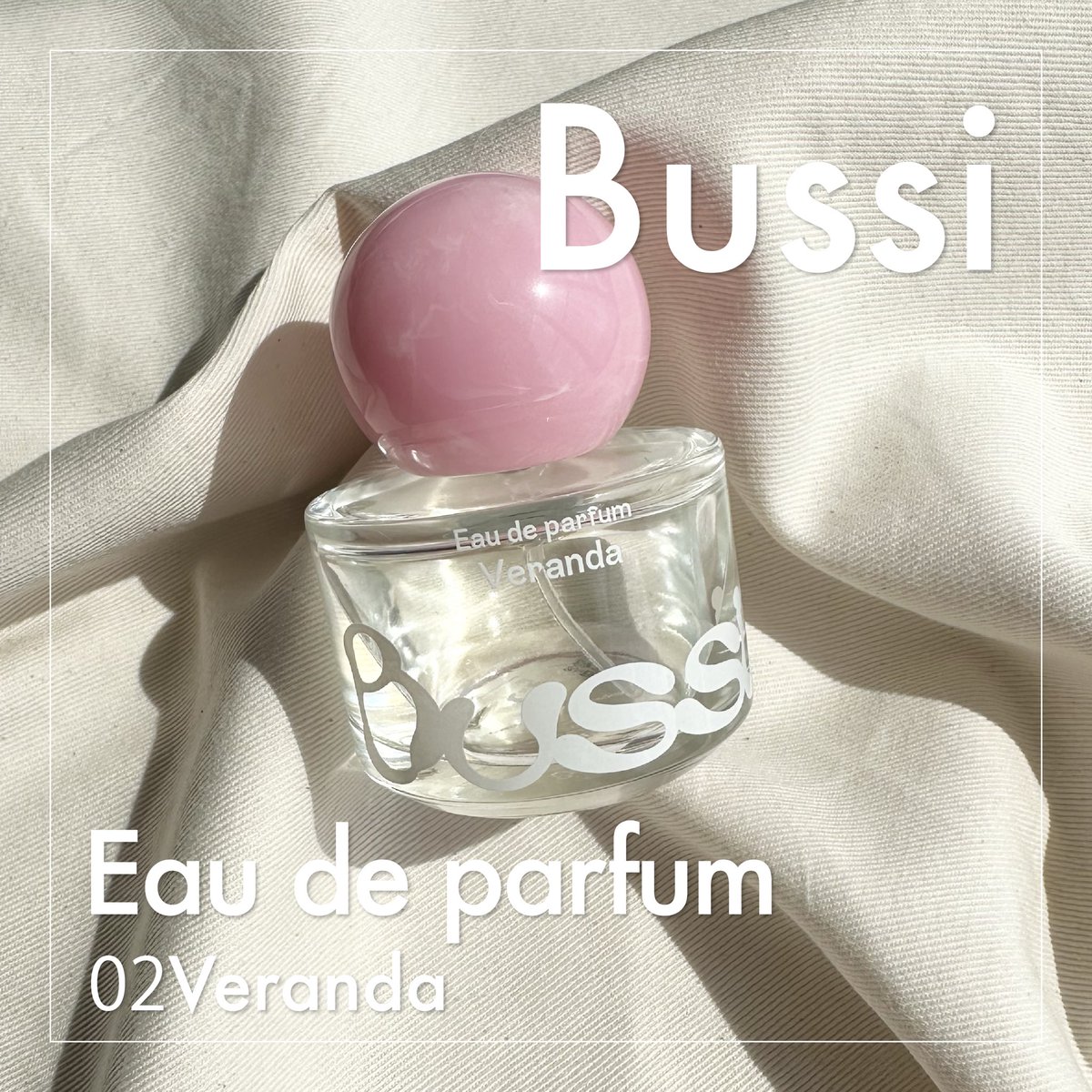 bussi - Search / X
