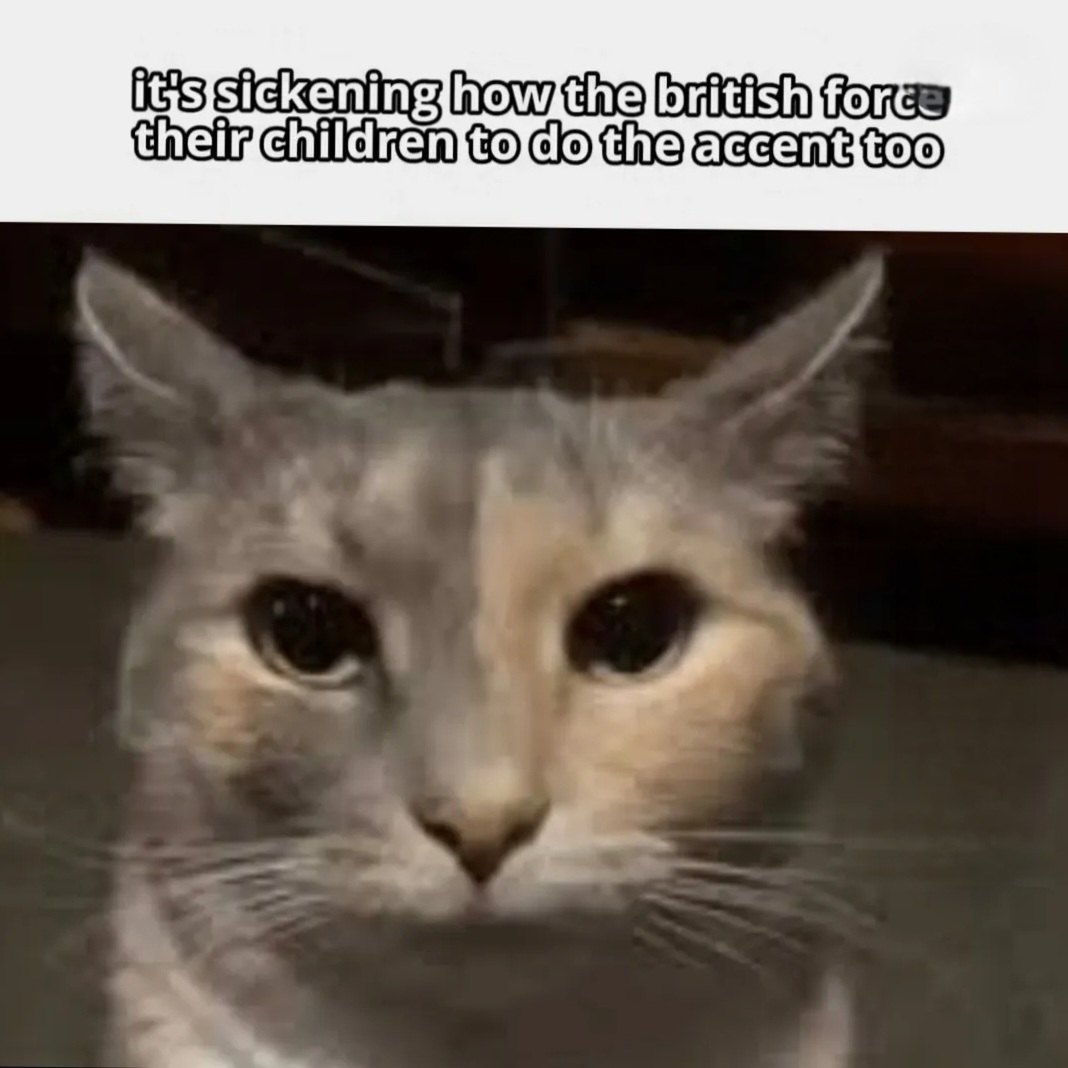 Beeza Geeza #SmashTheDuopoly (@beezageeza) on Twitter photo 