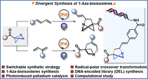 Huan-Ming Huang Group (@huanminghuang) on Twitter photo Need new nitrogen heterocycles? We've got a switch for that! 🔄
Our new <a href="/J_A_C_S/">J. Am. Chem. Soc.</a> paper reveals a Pd-photocatalytic method to synthesize valuable aza-bioisosteres from simple building blocks. Perfect for #MedChem & DEL synthesis! <a href="/ACSPublications/">ACS Publications</a>
pubs.acs.org/doi/full/10.10… Need new nitrogen heterocycles? We've got a switch for that! 🔄
Our new <a href="/J_A_C_S/">J. Am. Chem. Soc.</a> paper reveals a Pd-photocatalytic method to synthesize valuable aza-bioisosteres from simple building blocks. Perfect for #MedChem & DEL synthesis! <a href="/ACSPublications/">ACS Publications</a>
pubs.acs.org/doi/full/10.10…