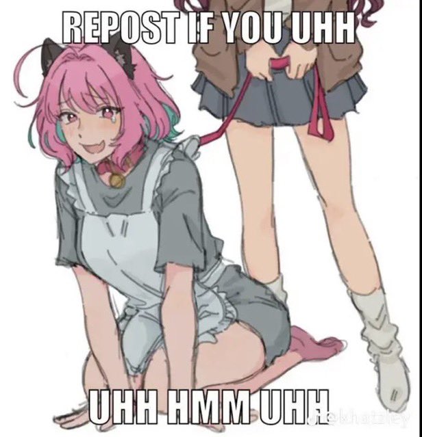 dreamyy_kitty tweet media