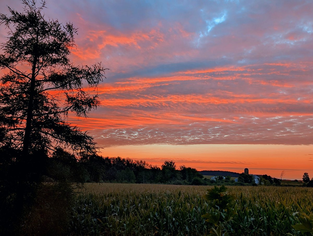 Nice start to the day,,  
   Wind warning ⚠️ issued for later today 😕