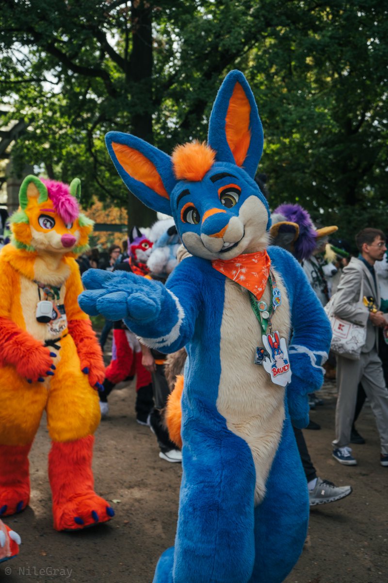 NileGray EF28 (@nilegraythederg) on Twitter photo First Picture from the Fursuite parade at #Eurofurence29 #ef29 #Eurofurence First Picture from the Fursuite parade at #Eurofurence29 #ef29 #Eurofurence