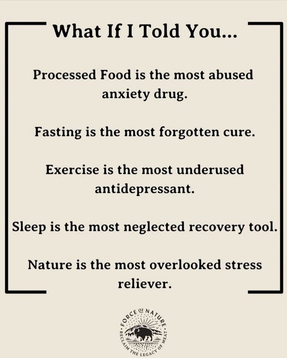 Bee’s Little Ranch tweet media