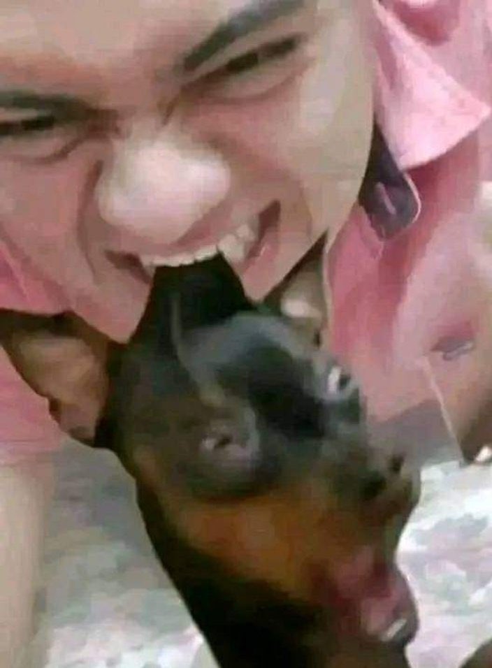 LittleBoy from Cariacica tweet media