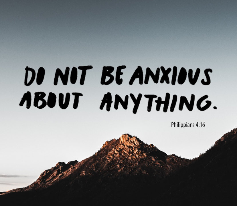 Johnny Shelton tweet media