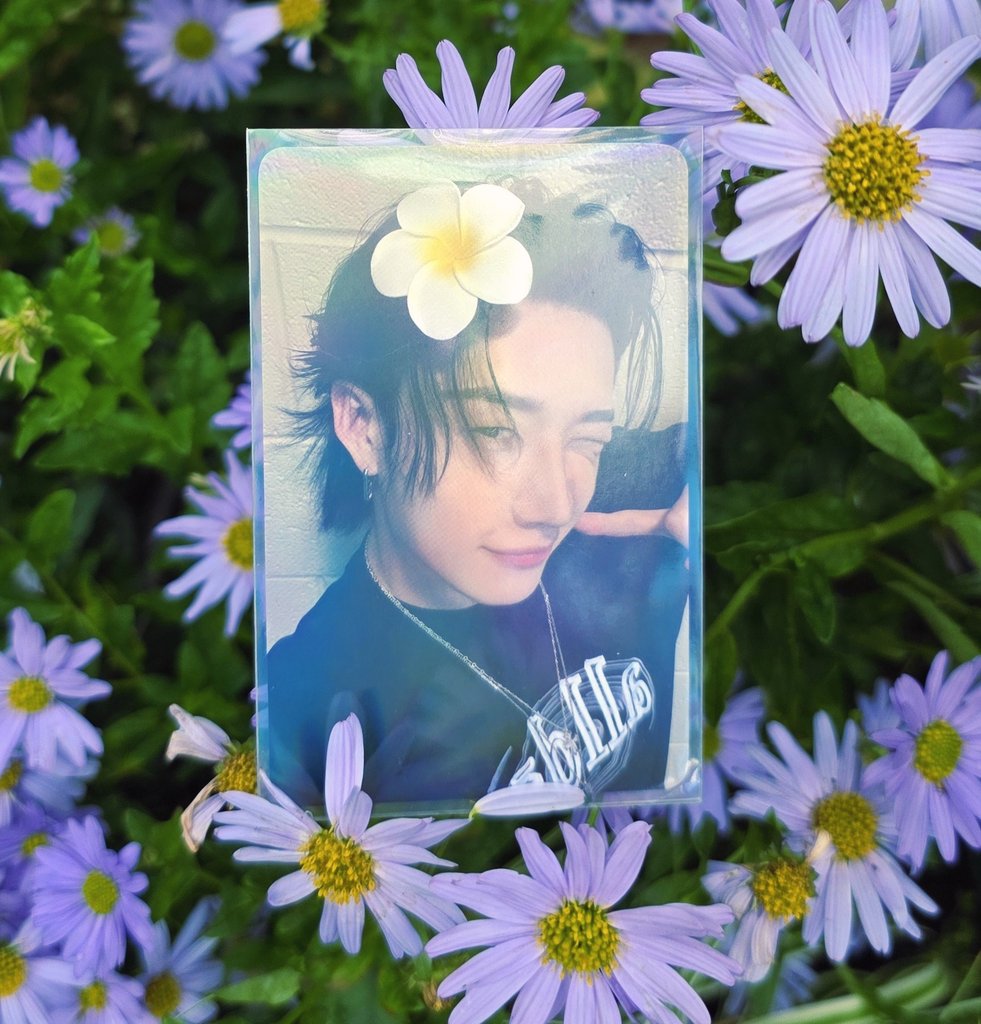 fauxhollow's tweet photo. Flower Boy #BangChan https://t.co/pQxU5ujo2p