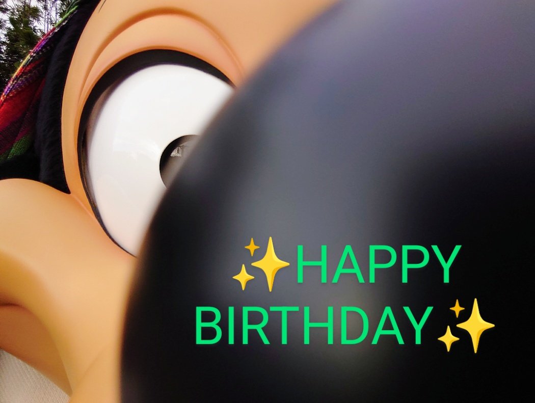 マックスくん🐶
お誕生日おめでとう🎉
