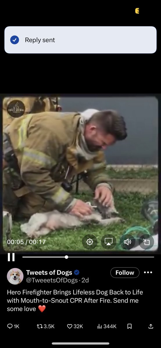 Basil Manoussos, MSc,BSc,MBCS,ACSFS tweet media