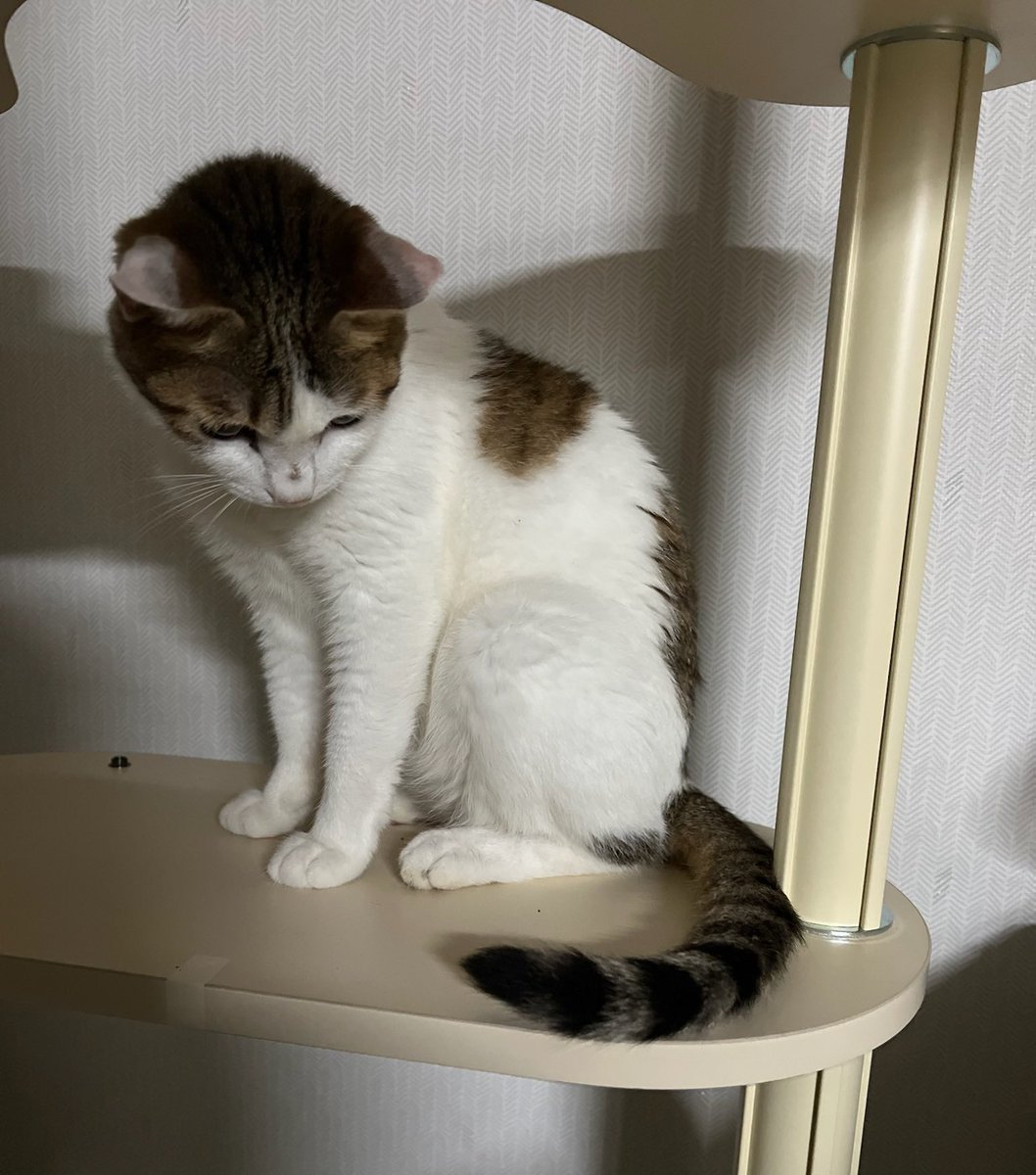 수목이 tweet media