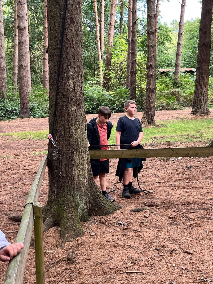 PCPPenguins's tweet image. Solving puzzles!