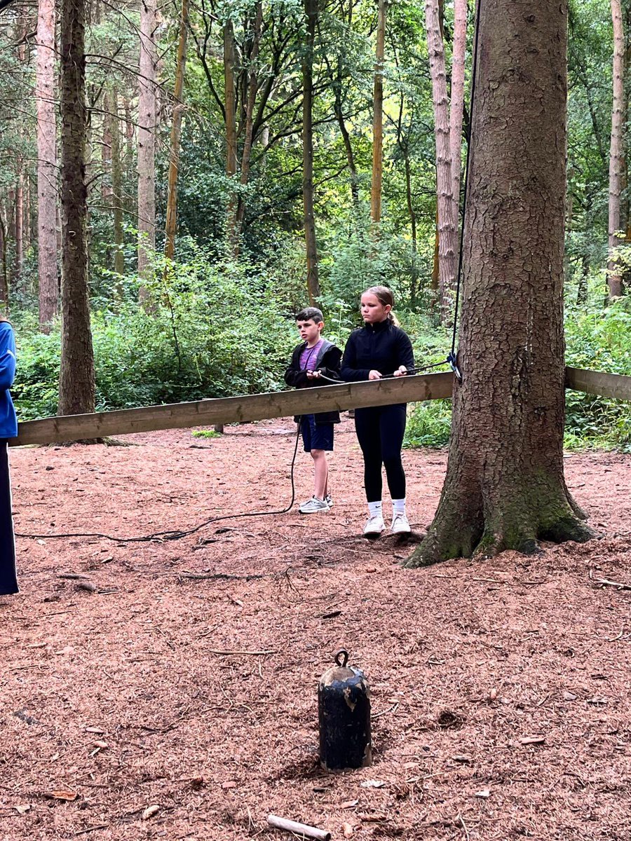 PCPPenguins's tweet image. Solving puzzles!